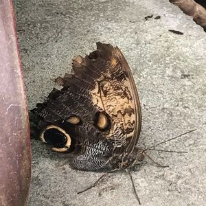 Meet your Posher, Jamie